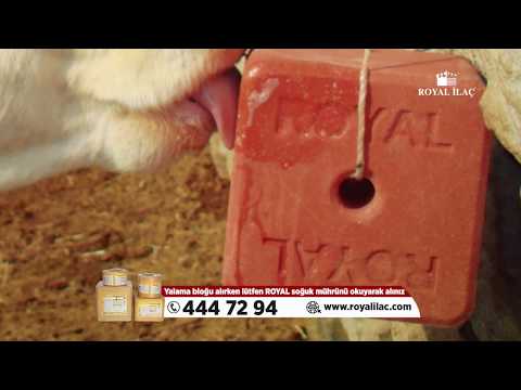 Сіль-лізунец "MINERAL BLOCK" 10 кг (ROYAL ILAC, Великобританія-Туреччина), видео 1