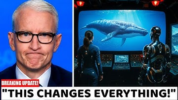 Scientists Just Decoded Language of the Whales Using AI... And It