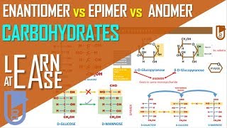 Enantiomer vs Epimer vs Anomer [Carbohydrates]