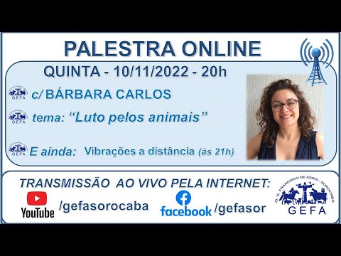 Assista: Palestra online - C/ B�?RBARA CARLOS (10/11/2022)