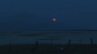 Club For Five - Brothers In Arms