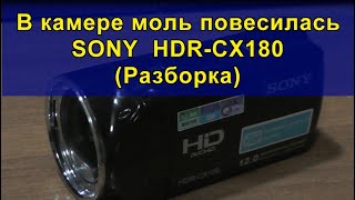 В камере моль повесилась SONY HDR-CX180 (Разборка). Butterfly in SONY HDR-CX180 camcorder.