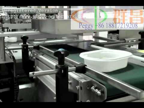 Double Line automatic sealing machine FK2840 7 1 new - YouTube