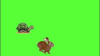 Tortoise and rabbit running animation effects green screen !!