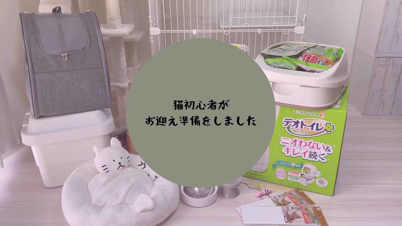 初めての猫お迎え準備