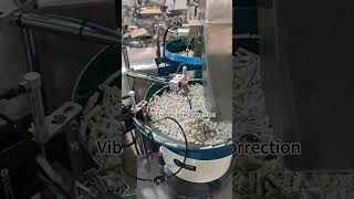 100 pcs nylon wall plug packing machine