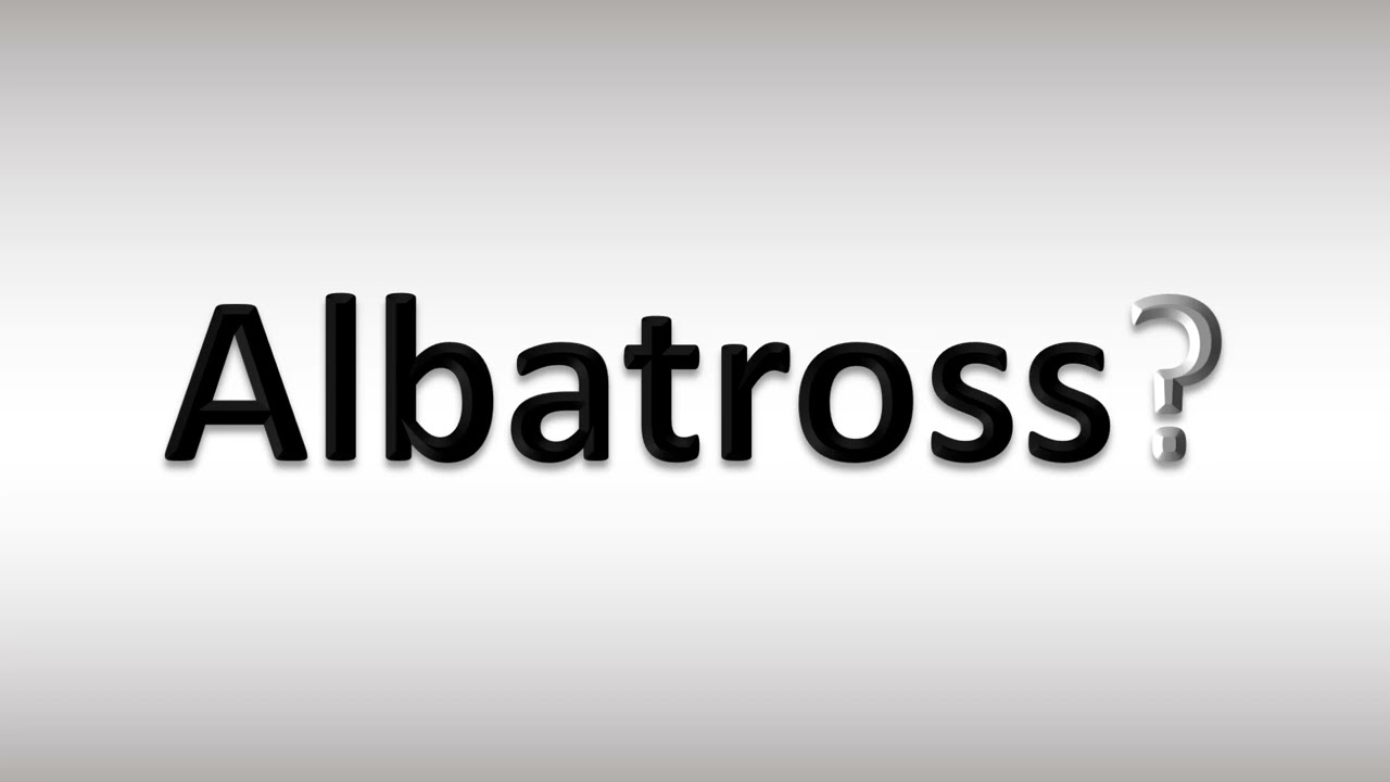 How to Pronounce Albatross - YouTube