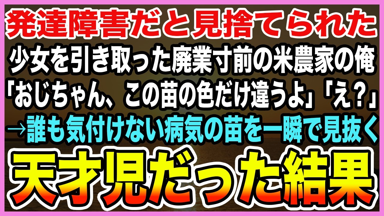 【感動する話】発達障害だと見捨てられた少女を引き取った廃業寸前の米農家の俺「おじちゃん、この苗の色だけ違うよ」「え？」→誰も気付けない病気の苗を一瞬で見抜く天才児だった結果【泣ける話・朗読】