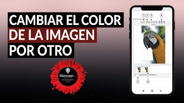 Cómo Cambiar el Color de la Imagen por Otro Usando Corel Photo Paint