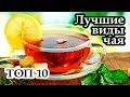 Топ 10 видов лучшего в мире чая. Самый популярный напиток