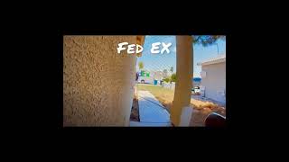 UPS vs Fedex #shorts