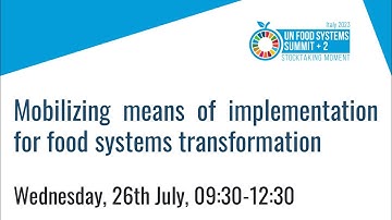 UNFSS+2  Mobilizing Means Of Implementation for food system transformation