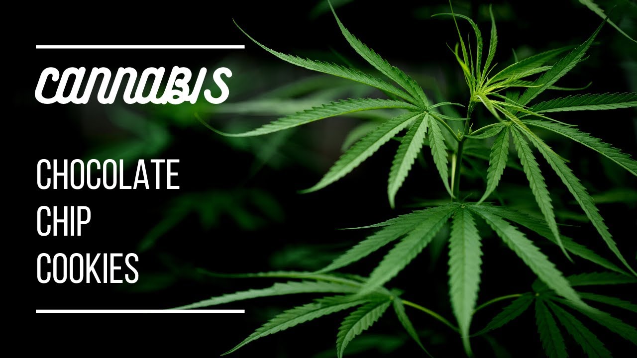 How To Make Cannabis Chocolate Chip Cookies - Bake Weed Treats