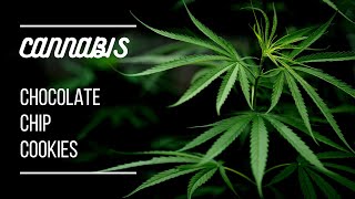 How To Make Cannabis Chocolate Chip Cookies - Bake Weed Treats