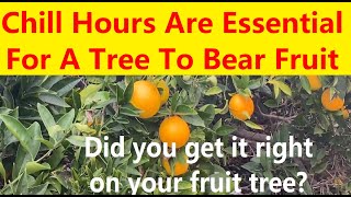 Chill Hours Are Essential For A Tree To Bear Fruit. Did You Get It Right To Your Fruit Tree?