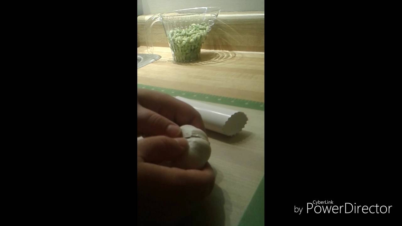 pampered chef garlic peeler pampered chef garlic peeler