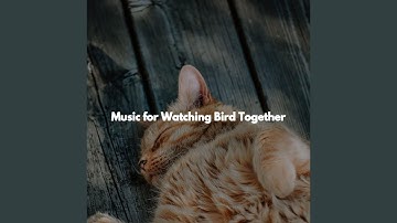 Smooth Ambience for Open Work Floors