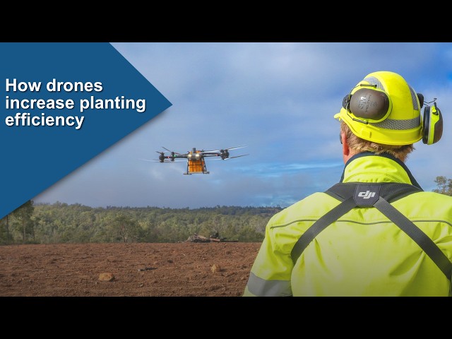 Increasing Planting Efficiency and Outcomes in the Jarrah Forest