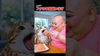 フクロウ猫飼います #猫 #meowl #shorts