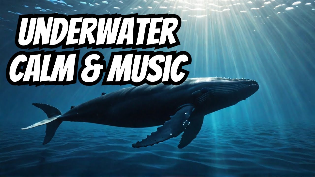 963 Hz Underwater Sounds & Music | Peaceful Ocean Ambience & Whale Sounds