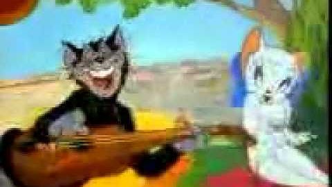 C:\Documents and Settings\mudaser\Desktop\New Folder\New Folder\fdg.flv