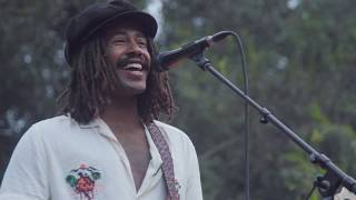 Sydney Music Fans Protest Anti-Music Laws