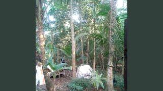 Bantal Guling