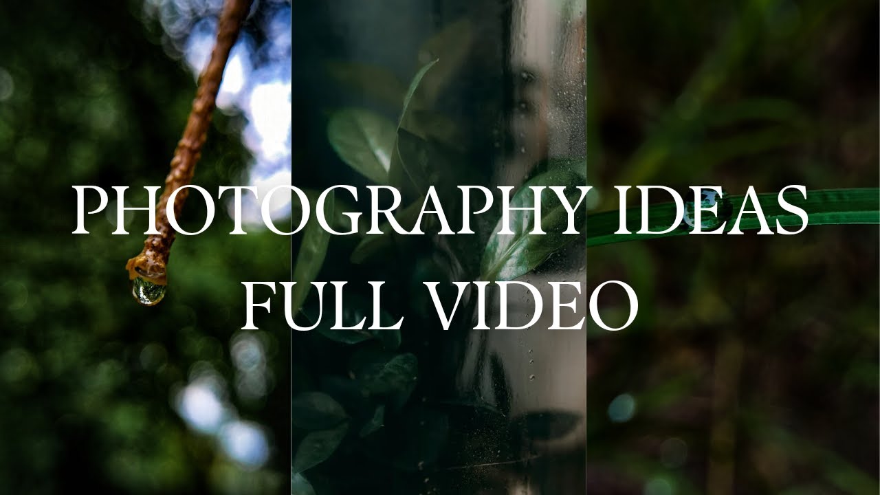 mobile photography using lens ✨ watch full video 