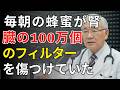 毎朝の蜂蜜習慣が腎臓を壊す？知らないと危険な真実 | 医師が明かす