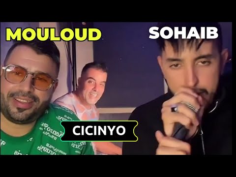 كوكتال سطايفي  2025