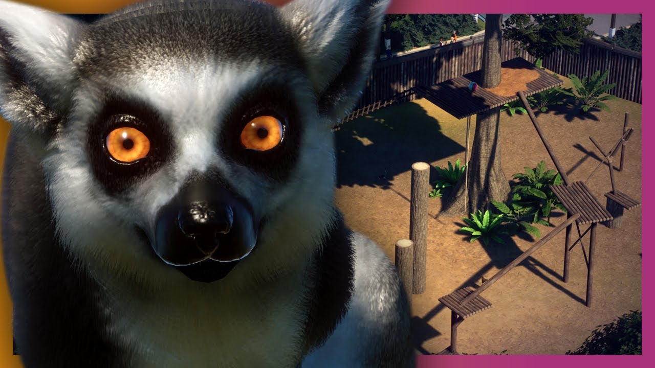🦁 Walkthrough Lemur Habitat | Fixing Goodwin | Planet Zoo Beta - YouTube