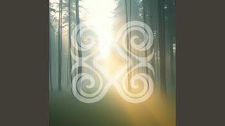 Echoes Before Dawn｜夜明け前のこだま