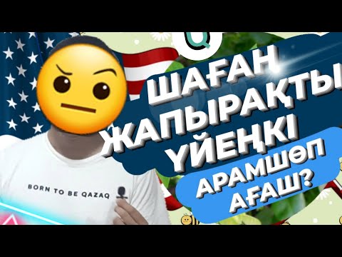 Бейне: Үлкен жапырақты линден (27 сурет): сипаттамасы, «Рубра» және «Фастигиата», «Ратхаус» және басқа сорттары, тәждің биіктігі мен диаметрі, жарыққа қатынасы, ландшафты дизайнда қолдану