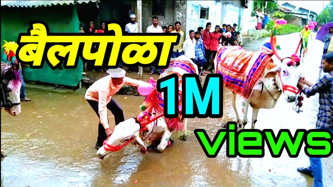 bail pola Maharashtra San | बैलपोळा सन महाराष्ट्राचा | bull fastival 2020| Red Bull gives you wings