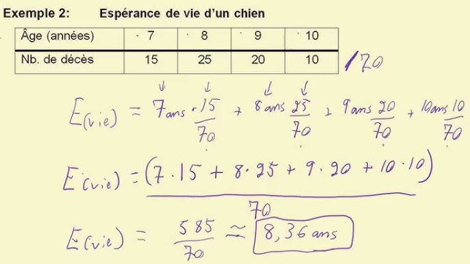 Exemple de calcul pour l'espérance mathématique - YouTube