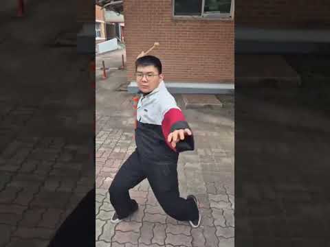 치속 뽀삐, 그는 쇼츠계의 신드롬