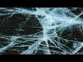 [FREE LOOPKIT]  &quot;Tundra&quot; (Pluggnb, D Savage, Sahbabii, Autumn, K Suave w/ stems)
