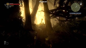 The Witcher 2 Ubersampling