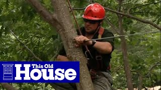 How To Cable A Large Split Tree This Old House