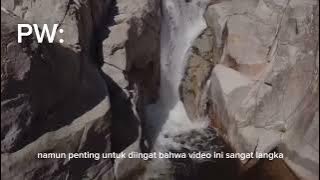 viral link mediafire terbaru 2023 ngen📌📌--mediadire viral terbaru 2023 ngen hari ini🤩#linkngen