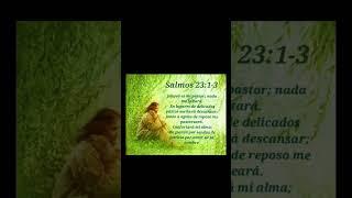 salmo 23 