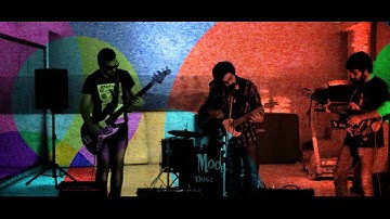 MoonDogs - The Peacock Song (Official Music Video)