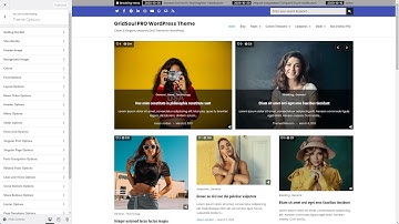 Customizer Theme Options - GridSoul PRO WordPress Theme