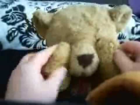 Teddy Bear Theatre Presents - Andrew Coming out to...