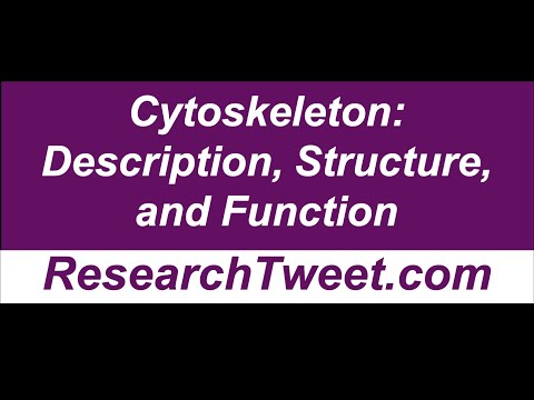 Cytoskeleton: Description, Structure,