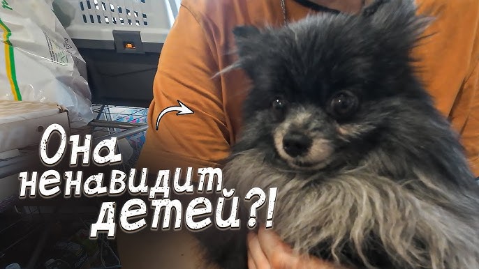 Жыныстық қатынас жасайтын сексуалды қыздың суреті