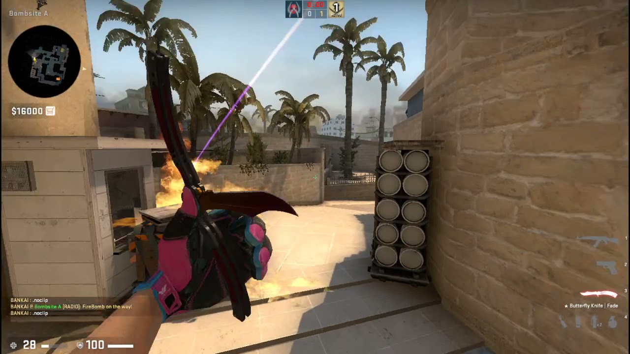 ticket molly from tetris mirage