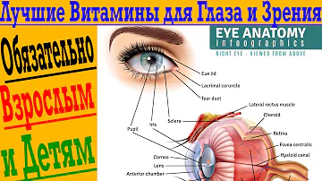 Лучшие витамины для здоровья ГЛАЗ И ЗРЕНИЯ!