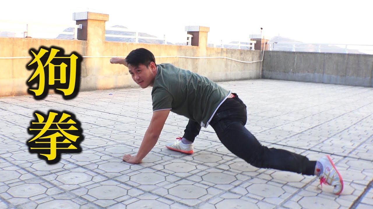 地を這い宙を飛ぶ！中国で狗拳（犬拳）の若者に会った！ Dog Kung-fu!