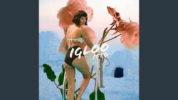 Igloo